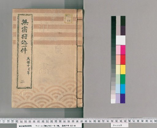 Case of Pursuing Vagrants, 2 vols. [2] Case of Pursuing Vagrants, Tenpō 10 (1839); Year of the Boar, also noted as Year of the Rat in the 11th year