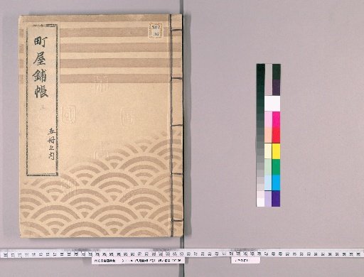 Register of Town Houses and Dwellings, 5 volumes [5]: Minami-Honjo Village, Kameido Village