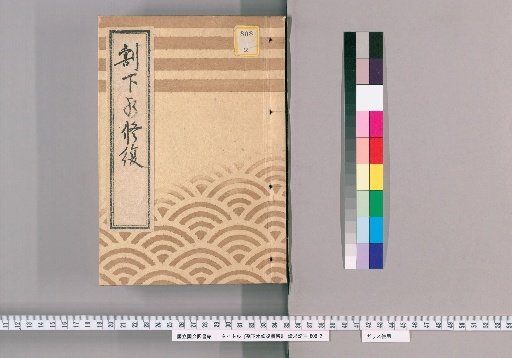 Record of Drainage Repair [1]