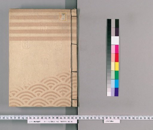 Izumi Case, Volume 63 [Volume 63]: Izumi Case, Volume 17: From 6th Year of Bunka (1809) to 7th Year of Bunka (1810)