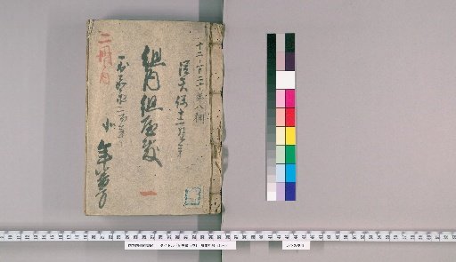Group Residences, Vol. 2 [1], Part 1: Group Residences Within the Group; From Tenpō 12 (Ushi Year) to Kaei 2 (Tori Year), Northern Yearly Duty Section