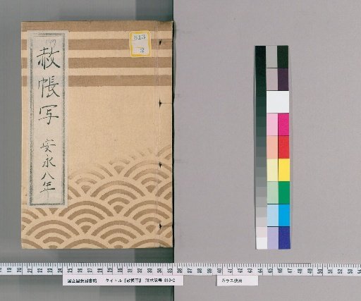 Copy of the Imperial Pardon Record [53] En'ei 8; Copy of the Imperial Pardon Record of the Eastern Temple (Tōei-san) for the 100th Memorial Service of the Late Lady Genyuin (En'ei 8)