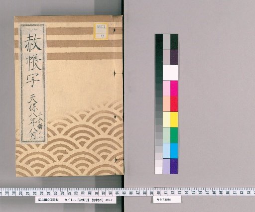 Copy of the Imperial Pardon Register [67], August 1837, Part 1 of 3: Compilation of Diaries on Imperial Pardons for the Shogun's Appointment, Promotion, Concurrent Appointments, and Celebratory Occasions; the 13th Memorial Service of Saiju-in; the New Funeral and Memorial Service of Bunkyō-in; the 1st Memorial Service of Bunkyō-in; and the Pilgrimage to Nikkō