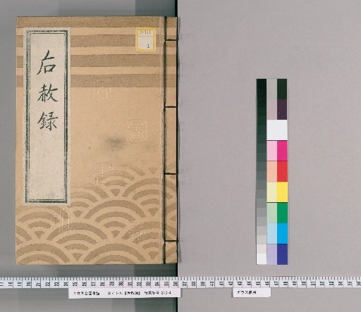 Record of Posthumous Pardons, Vol. 11: [Bunka 3, Year of the Tiger]