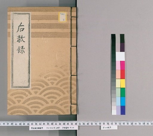 Record of Posthumous Pardons, Vol. 12: [Bunka 4, Year of the Rabbit]