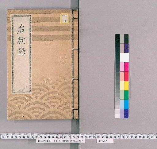 Record of Posthumous Pardons, Vol. 21: [Kansei 9, Year of the Snake - Bunka 2, Year of the Ox]