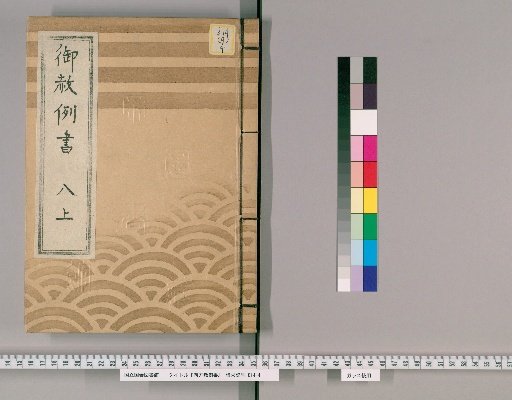 御赦例書 [9] 御赦例書　八上 盗賊、悪事致し候もの世話致し候もの之類
