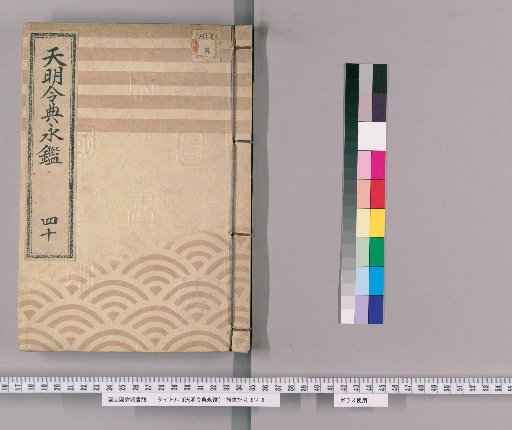 Tenmei Reiden Eikan [53]