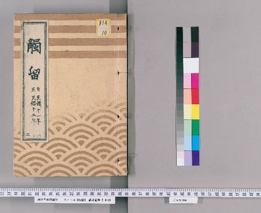 Tsuru, Volume 3; Tsuru, Volume 3: Tsuru II, Tenpō