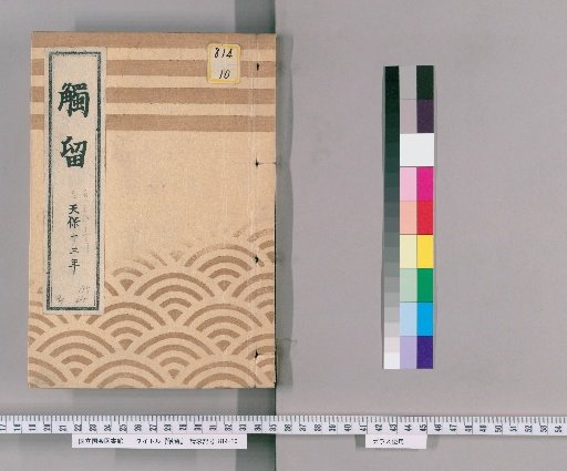 Tsuru, Volume 4, Volume 4: Tsuru II, Tenpō