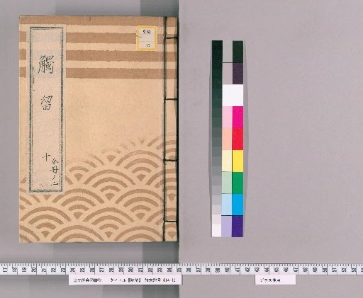 Churui, Volume 17: Churui, Volume 10, Kaei 6 Administration