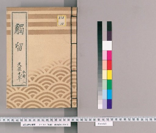 Shokuryū, Volume 29: Shokuryū, Tenpō Year 9