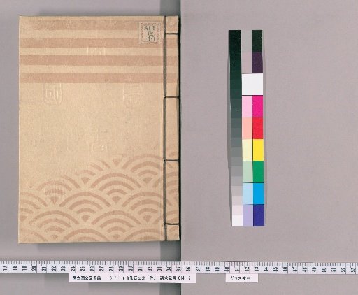 Case of Sengoku Sakyo [29]
