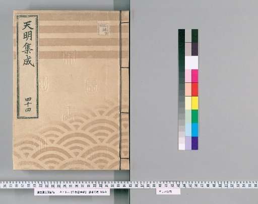 Gofusho Shusei [45]