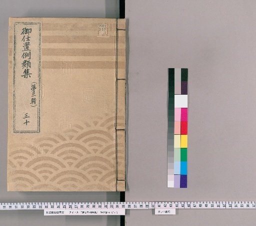 御仕置例類集 [55] 〔第三輯〕　三十 女之部 自訴并旧悪之類・奇怪異説申触候類・身元不知もの等差置又者世話いたし或ハ貰受候類・捨置間敷儀等閑又者不念麁骨之類・火を麁末ニいたし出火およひ候趣ニ相聞候もの・盗物と見込掠取候もの