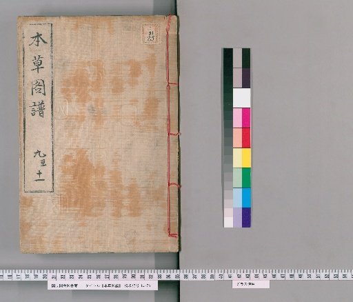 Honzō Zuppu, Volumes 13-15