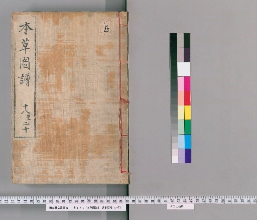 Illustrated Materia Medica, Volumes 22-24