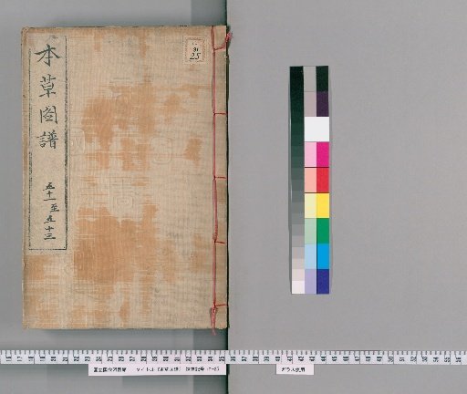 Herbal Illustrations, Volumes 55-57