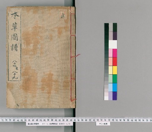 Honzo Zuppu, Volumes 91-93