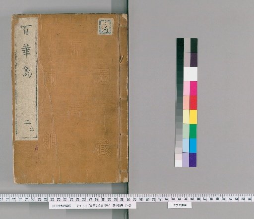 Illustrated Hundred Flowers and Birds, 5 Volumes [2]