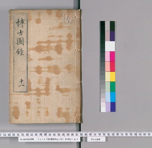 Corrected Examination of the Catalogue of Antiquities, 30 Volumes [11]