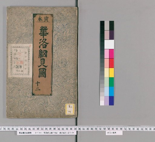 Detailed Views of the Capital of Flowers, Vol. 15 [12]