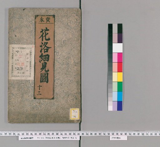 Detailed Views of the Capital of Flowers, Vol. 15 [13]