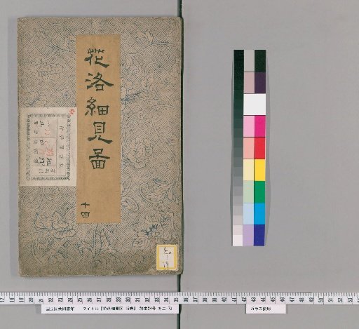 Detailed Views of the Capital of Flowers, Vol. 15 [14]