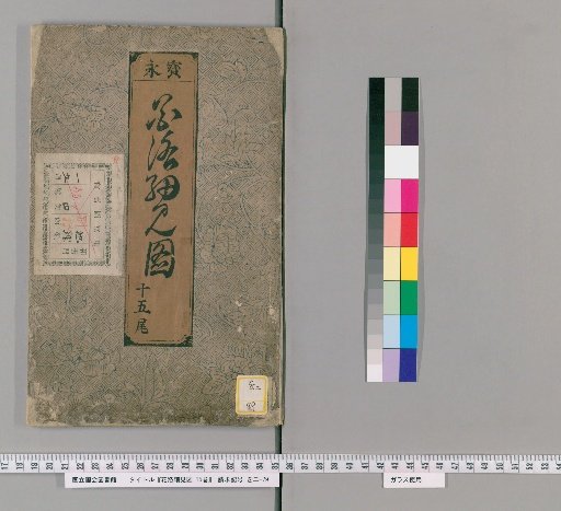 Detailed Views of the Capital of Flowers, Vol. 15 [15]