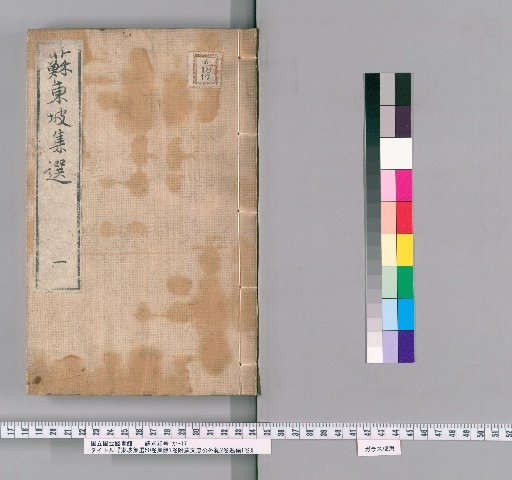 Selected Works of Dongpo, 50 Volumes, Supplementary 1 Volume, with External Records of Su Wenzhong Gong 2 Volumes, Lost Writings 1 Volume [1]
