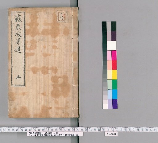 Selected Works of Dongpo, 50 Volumes; Supplementary Collection, 1 Volume; Appendix: External Records of Lord Su Wenzhong, 2 Volumes; Lost Writings, 1 Volume [5]