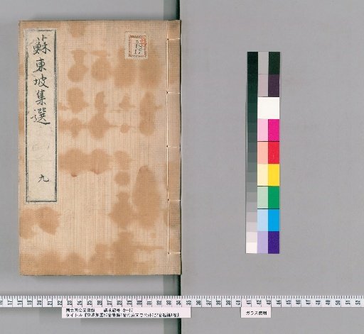 Selected Works of Dongpo, 50 Volumes, Supplementary Collection 1 Volume, with External Records of Lord Su Wenzhong 2 Volumes, Lost Writings 1 Volume [9]
