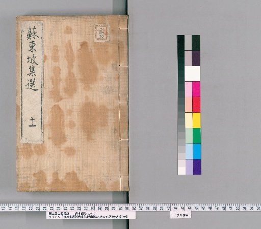 Selected Works of Dongpo, 50 Volumes, Supplementary Collection 1 Volume, with External Records of Master Su Wenzhong 2 Volumes, Lost Writings 1 Volume [11]