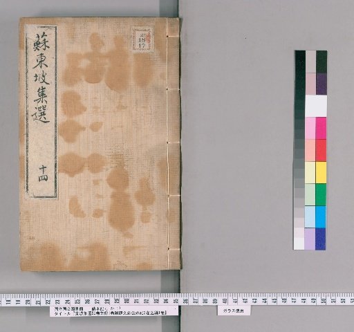 Selected Works of Dongpo, 50 Volumes, Supplementary Collection 1 Volume, with External Records of Lord Su Wenzhong 2 Volumes, Lost Writings 1 Volume [14]