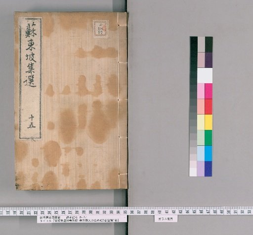 Dongpo Ji Xuan, 50 Volumes, Supplementary Collection 1 Volume, with External Records of Master Su Wenzhong 2 Volumes, Lost Writings 1 Volume [15]