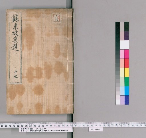 Selected Works of Dongpo, 50 volumes; Supplementary Collection, 1 volume; with External Records of Lord Su Wen-zhong, 2 volumes; Lost Writings, 1 volume [17]