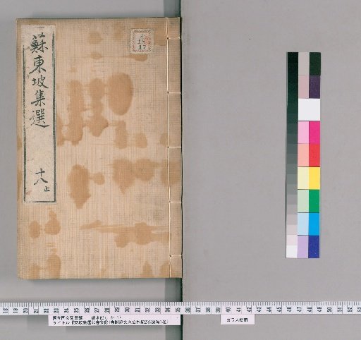 Selected Works of Dongpo, 50 Volumes, Plus 1 Volume of Supplementary Collection, with External Biography of Su Wenzhong Gong, 2 Volumes, and Lost Compilations, 1 Volume [18]