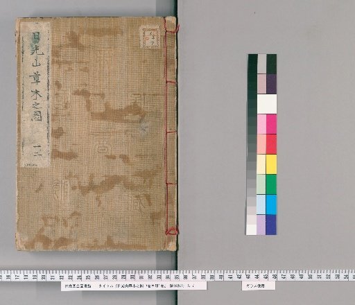 Illustrated Catalogue of Plants and Trees of Mount Nikko, Vol. 7 with Catalogue, Vol. 1 [1]