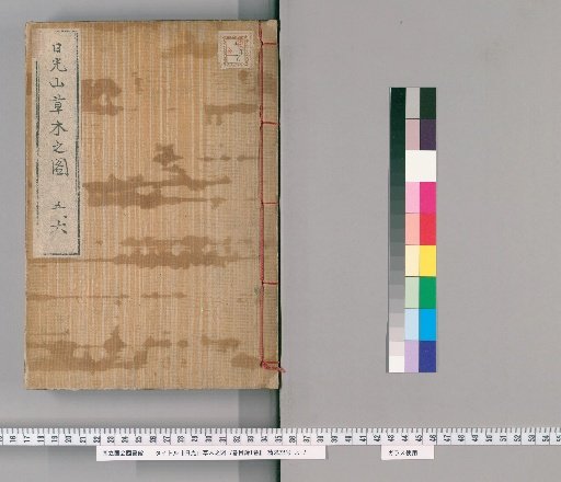 Illustrated Catalogue of Plants and Trees of Mount Nikko, Vol. 7 with Catalogue, Vol. 1 [3]