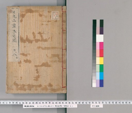 Illustrated Catalogue of Plants and Trees of Mount Nikko, Vol. 7 with Catalogue, Vol. 1 [4]