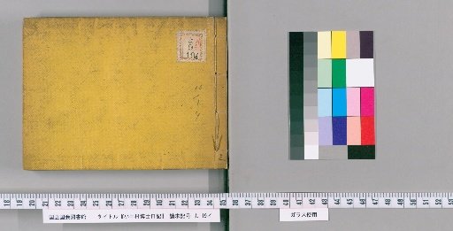 Diary of Dr. Onakamura [3]