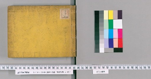 Diary of Dr. Onakamura [4]