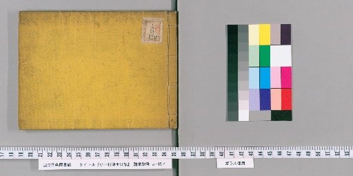 Diary of Dr. Onakamura [9]