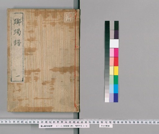 Rhododendron Catalogue, 3 volumes [1]