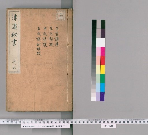 Jin Tai Mi Shu, Volumes 5-6