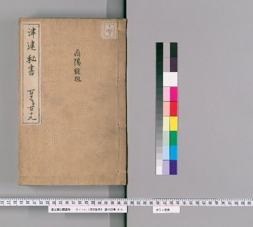 Jinzai Hisho, Volumes 117-119