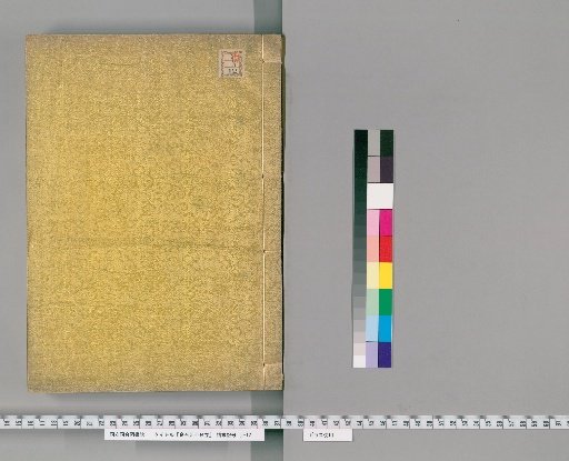 Jinshi Yuan, Undivided Volumes [4]