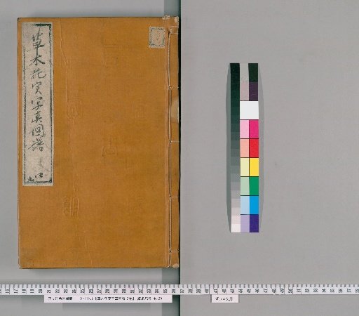 Sōmoku Kajitsu Shashin Zufu, 2 vols. [4]