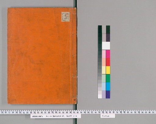 Illustrated Forms of Plants and Trees of Ranzan [1]