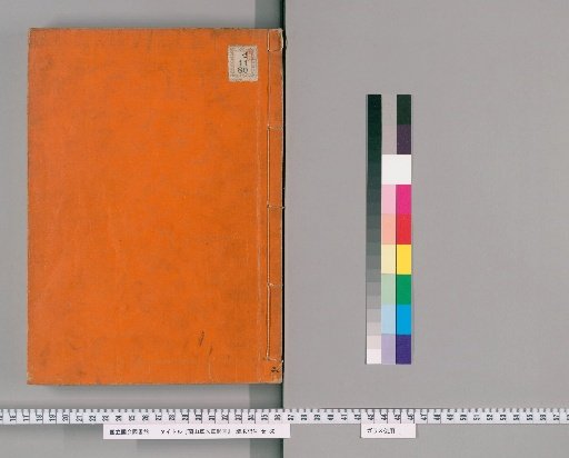 Illustrated Forms of Plants and Trees of Ranzan [2]
